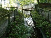 Albue Fuglekøje (1)