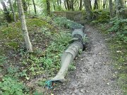 Albue Fuglekøje (3)