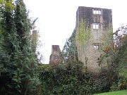 Castle Archdale Forest - Old Castle Archdale